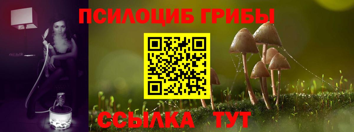 Галлюциногенные грибы GOLDEN TEACHER  Вход с VPN  Аргун 