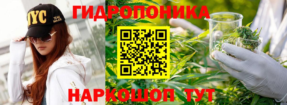 Каннабис AK-47 Аргун